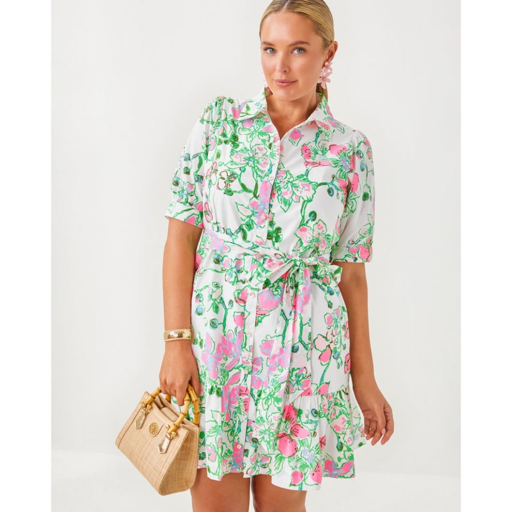 NWT Lilly Pulitzer Sashria Dress - 10 - Picture 4 of 5